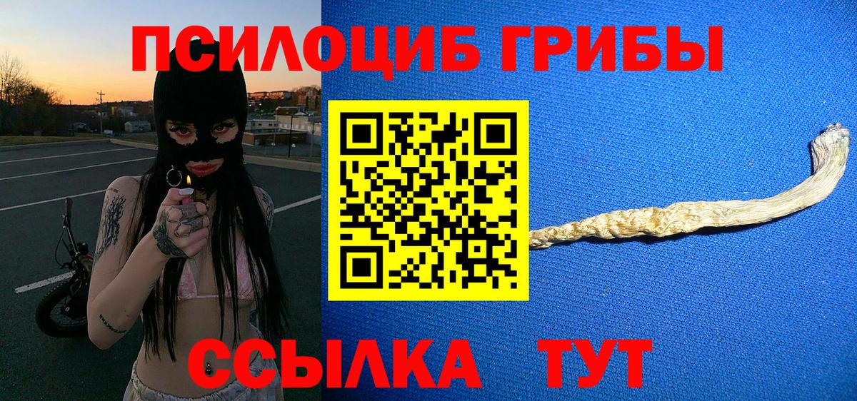Галлюциногенные грибы GOLDEN TEACHER Дивногорск