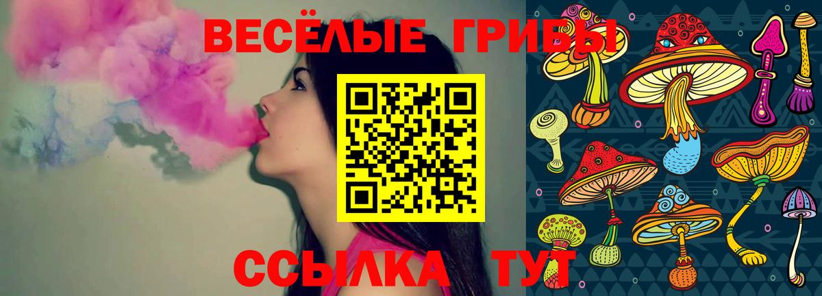 Галлюциногенные грибы GOLDEN TEACHER  Вход с VPN  Галлюциногенные грибы мицелий  Дивногорск 